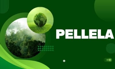 Pellela