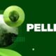 Pellela