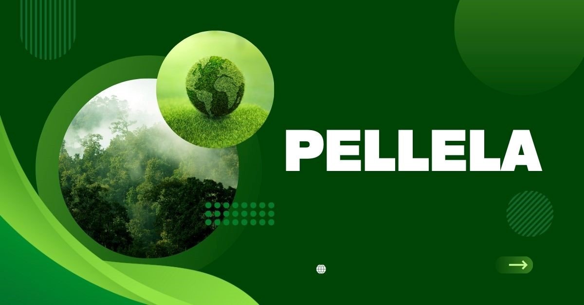 Pellela