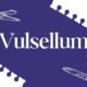 vulsellum